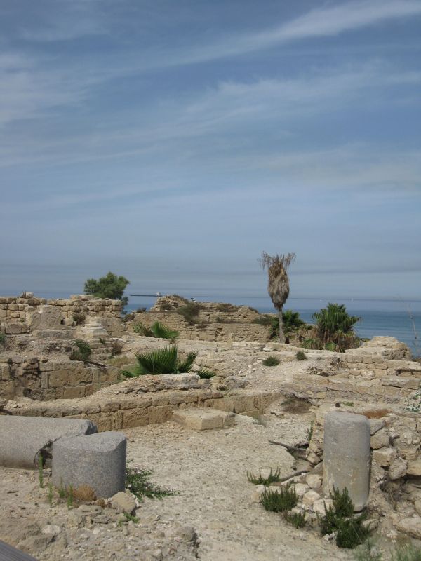 xIMG_3510_28829.JPG