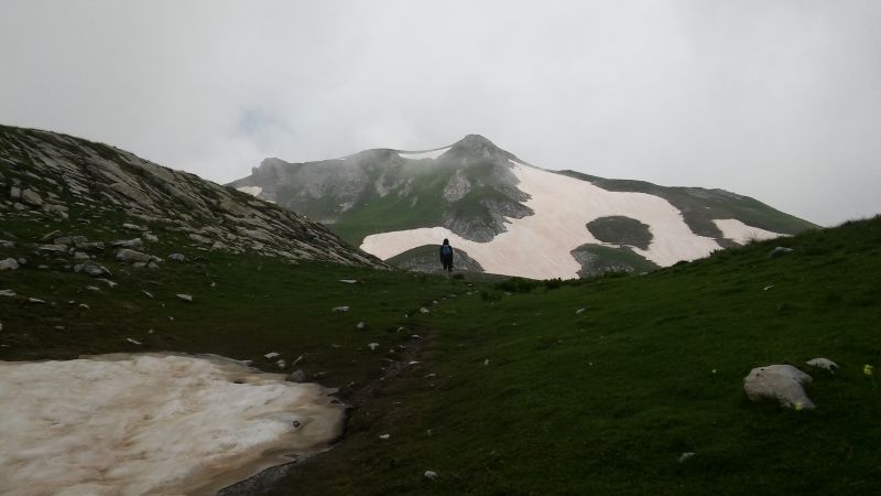 z80618_102718.jpg