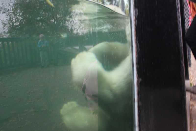 zIMG_0001_281229.JPG