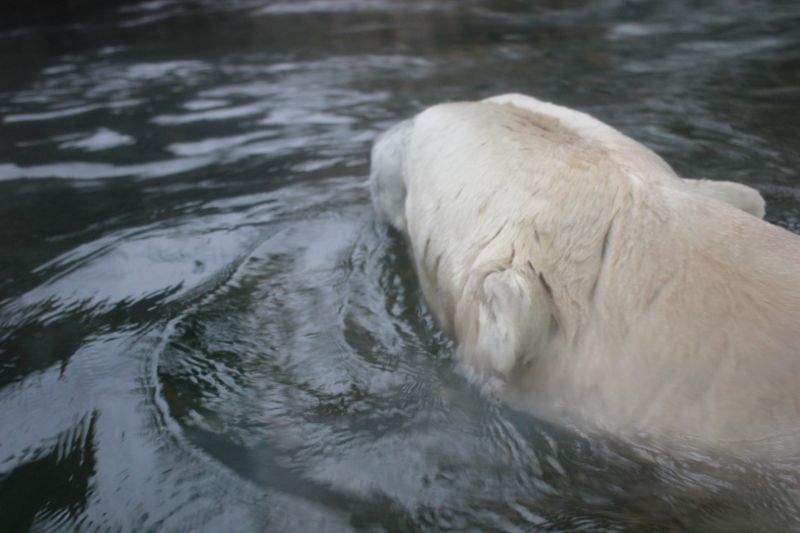 zIMG_0001_281529.JPG