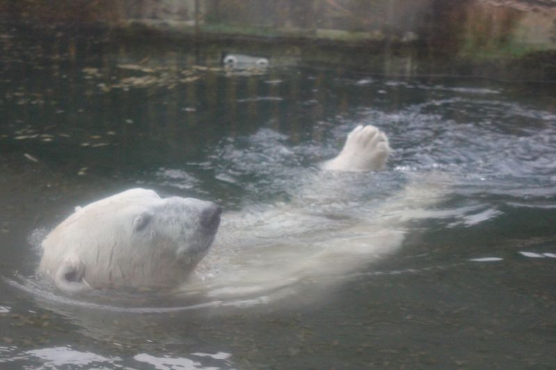 zIMG_0001_281629.JPG