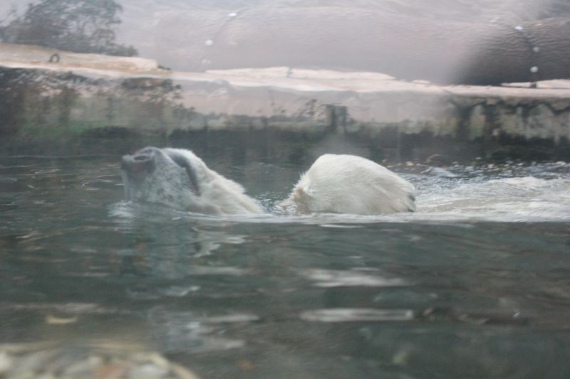 zIMG_0001_281929.JPG