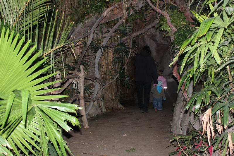 zIMG_0001_282529.JPG