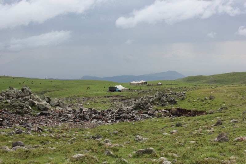 zz_281329.jpg