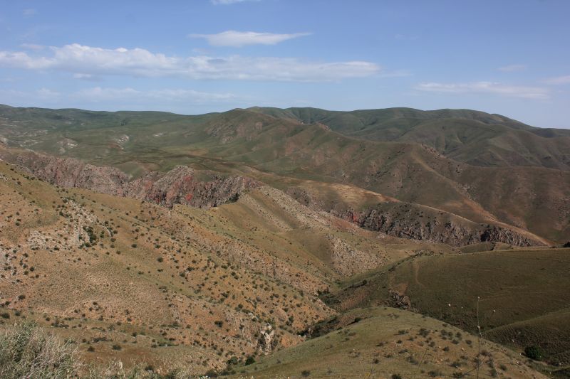 zz_283029.jpg