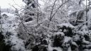 Název souboru=20160301_070059.jpg
Velikost souboru=2004KB
Rozměry=3264x1840
Datum přidání=01. Březen 2016 20160301_070059.jpg