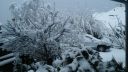 Název souboru=20160301_070106.jpg
Velikost souboru=2021KB
Rozměry=3264x1840
Datum přidání=01. Březen 2016 20160301_070106.jpg
