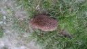 Název souboru=20160508_202821.jpg
Velikost souboru=2666KB
Rozměry=3264x1840
Datum přidání=24. Srpen 2016 20160508_202821.jpg
