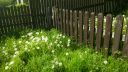 Název souboru=20160509_165849.jpg
Velikost souboru=3032KB
Rozměry=3264x1840
Datum přidání=24. Srpen 2016 20160509_165849.jpg