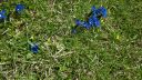 Název souboru=20160618_132332.jpg
Velikost souboru=3483KB
Rozměry=3264x1840
Datum přidání=24. Srpen 2016 20160618_132332.jpg