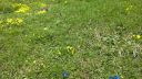 Název souboru=20160618_132338.jpg
Velikost souboru=4227KB
Rozměry=3264x1840
Datum přidání=24. Srpen 2016 20160618_132338.jpg
