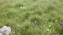 Název souboru=20160619_144002.jpg
Velikost souboru=3551KB
Rozměry=3264x1840
Datum přidání=24. Srpen 2016 20160619_144002.jpg