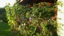 Název souboru=20160818_190050.jpg
Velikost souboru=3033KB
Rozměry=3264x1840
Datum přidání=19. Srpen 2016 20160818_190050.jpg