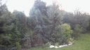 Název souboru=20160818_190107.jpg
Velikost souboru=2129KB
Rozměry=3264x1840
Datum přidání=19. Srpen 2016 20160818_190107.jpg