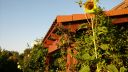 Název souboru=20160818_190121.jpg
Velikost souboru=2191KB
Rozměry=3264x1840
Datum přidání=19. Srpen 2016 20160818_190121.jpg