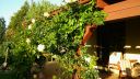 Název souboru=20160818_190150.jpg
Velikost souboru=2592KB
Rozměry=3264x1840
Datum přidání=19. Srpen 2016 20160818_190150.jpg