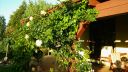 Název souboru=20160818_190152.jpg
Velikost souboru=2623KB
Rozměry=3264x1840
Datum přidání=19. Srpen 2016 20160818_190152.jpg