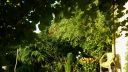 Název souboru=20160818_190206.jpg
Velikost souboru=2716KB
Rozměry=3264x1840
Datum přidání=19. Srpen 2016 20160818_190206.jpg
