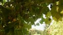 Název souboru=20160818_190224.jpg
Velikost souboru=2102KB
Rozměry=3264x1840
Datum přidání=19. Srpen 2016 20160818_190224.jpg
