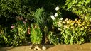 Název souboru=20160818_190230.jpg
Velikost souboru=2949KB
Rozměry=3264x1840
Datum přidání=19. Srpen 2016 20160818_190230.jpg
