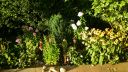 Název souboru=20160818_190233.jpg
Velikost souboru=2988KB
Rozměry=3264x1840
Datum přidání=19. Srpen 2016 20160818_190233.jpg