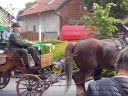 Název souboru=CAM00584.jpg
Velikost souboru=894KB
Rozměry=2048x1536
Datum přidání=25. Květen 2015 CAM00584.jpg