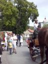 Název souboru=CAM00597.jpg
Velikost souboru=1091KB
Rozměry=1536x2048
Datum přidání=25. Květen 2015 CAM00597.jpg