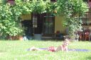Název souboru=DIMG_4415_281029.JPG
Velikost souboru=8531KB
Rozměry=5184x3456
Datum přidání=31. Červenec 2017 DIMG_4415_281029.JPG