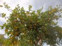 IMG_20240329_103626.jpg