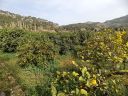 IMG_20240329_105628.jpg