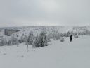 IMG_20250208_122626.jpg