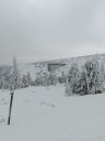 IMG_20250208_122640.jpg