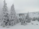 IMG_20250208_122735.jpg