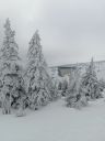 IMG_20250208_122740.jpg