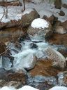 IMG_20250208_145339.jpg