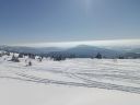 IMG_20250220_114911.jpg