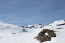 IMG_4866.JPG
