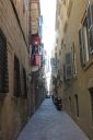 IMG_7005.JPG