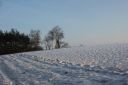 IMG_8059~0.JPG