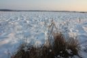 IMG_8063~0.JPG