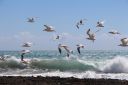 IMG_8284~3.JPG