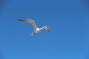 IMG_8727~2.JPG