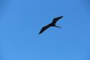 IMG_8739~5.JPG