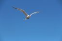 IMG_8742~4.JPG