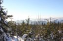 IMG_9988~5.JPG