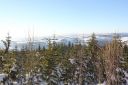 IMG_9989~3.JPG
