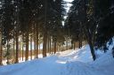 Název souboru=KIMG_0080_285929.JPG
Velikost souboru=7665KB
Rozměry=5184x3456
Datum přidání=09. Únor 2017 KIMG_0080_285929.JPG