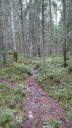 Název souboru=b20160718_200439_282329.jpg
Velikost souboru=2575KB
Rozměry=1840x3264
Datum přidání=24. Srpen 2016 b20160718_200439_282329.jpg
