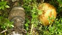 Název souboru=b20160718_200439_28329.jpg
Velikost souboru=2856KB
Rozměry=3264x1840
Datum přidání=24. Srpen 2016 b20160718_200439_28329.jpg