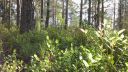 Název souboru=b20160718_200439_28529.jpg
Velikost souboru=3314KB
Rozměry=3264x1840
Datum přidání=24. Srpen 2016 b20160718_200439_28529.jpg